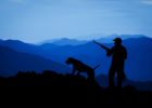 Les espèces de gibier les plus courantes en montagne