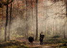 Comment choisir son ensemble de chasse ?