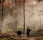 Comment choisir son ensemble de chasse ?