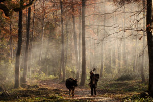 Comment choisir son ensemble de chasse ?